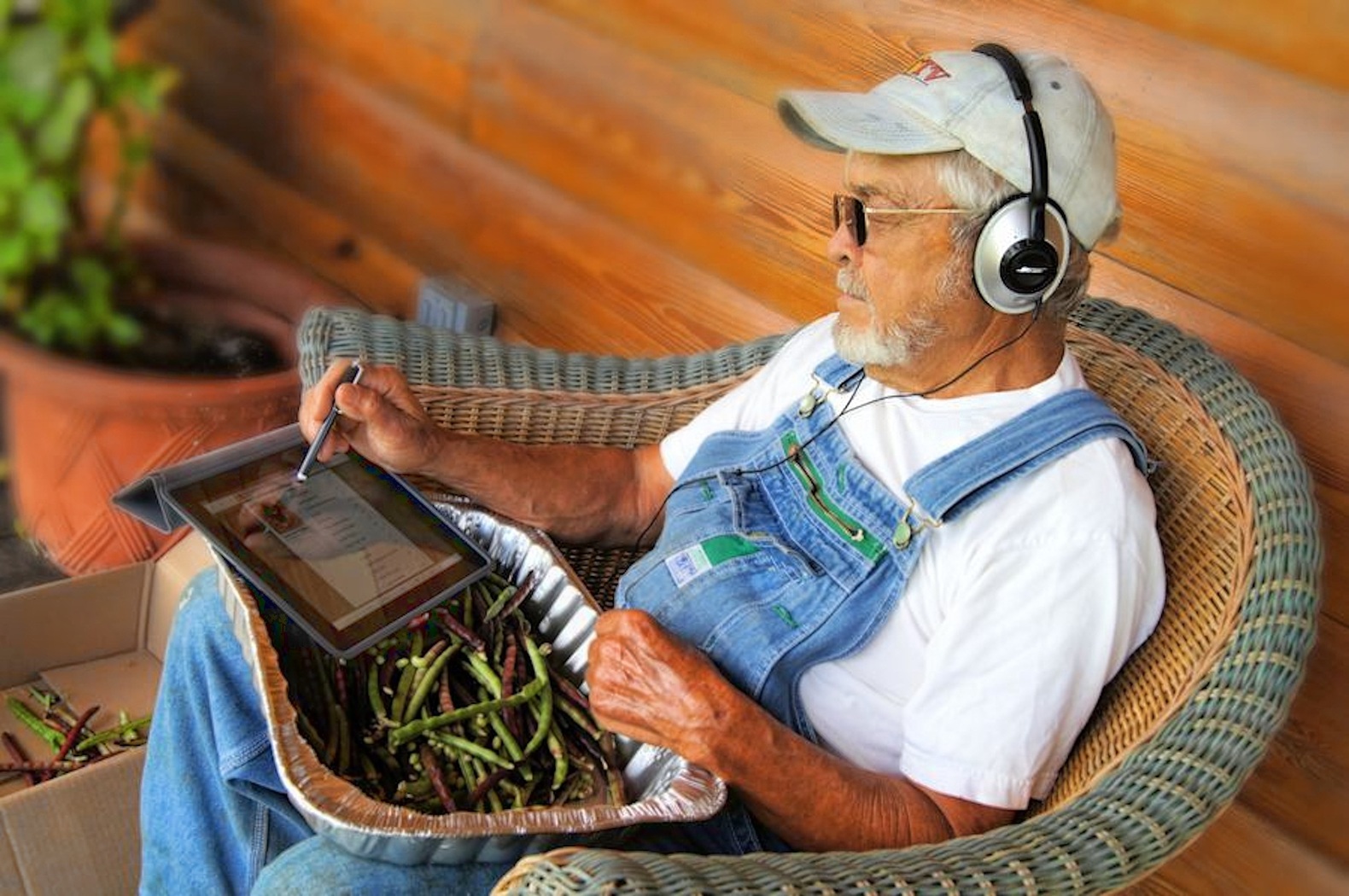 farmer using ipad to check results